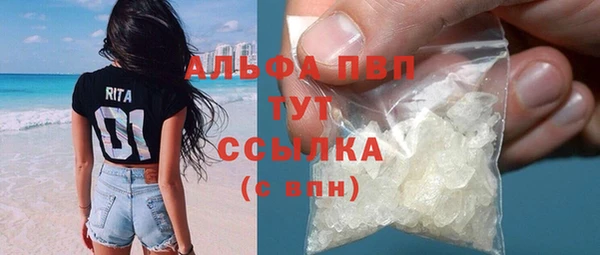 стафф Арсеньев