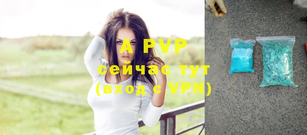 стафф Арсеньев