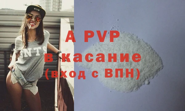 стафф Арсеньев