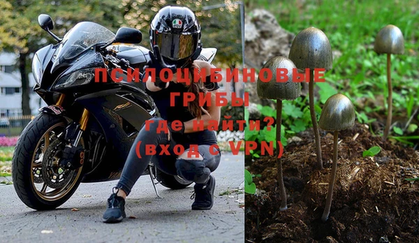 стафф Арсеньев