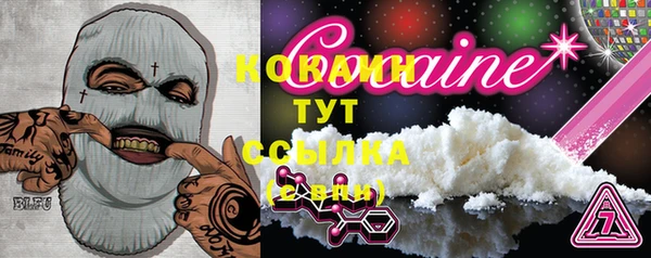 МДПВ Елабуга