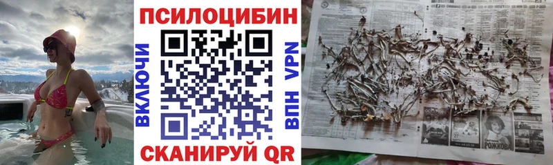 Галлюциногенные грибы MAGIC MUSHROOMS  hydra вход  Балахна 